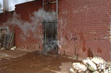 horno - adobe oven - agabe tequilana