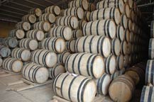 oak barrels used to age tequila