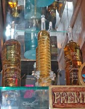 tequila aguascalientes - jalisco