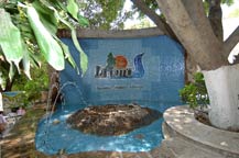 Balneario Natural La Toma - Natural Spring - Tequila, Jalisco