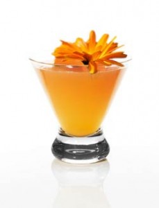 marigold-ofrenda-cocktail Marigold Ofrenda Cocktail with Espolon Tequila