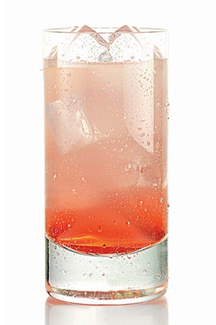 hornitos-the-resolution-2011 The Hornitos Resolution: one you'll want to keep