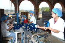 bottling line for cabo wabo tequila 