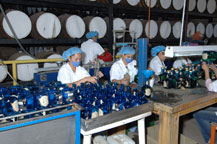 cabo wabo tequila reposado being bottled in Guadalajara