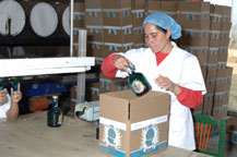 cabo wabo tequila reposado being boxed in Guadalajara