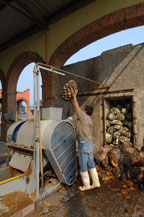 cooked agave being loaded into crusher