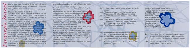 jose cuervo anejo reserva de la familia 2008 collection - Fernanda Brunet - Artist