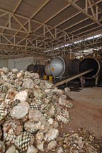 agave and autoclaves at destiladora de los altos in arandas, jalisco