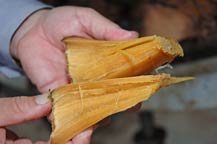 a portion of the cooked agave heart