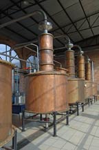 copper alambiques used at hacienda la capilla