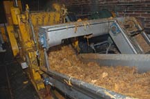 crushed agave in shreader at hacienda la capilla