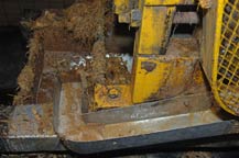 agave juice is extracted at hacienda la capilla