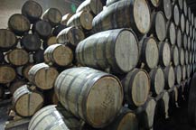 oak barrels are used to age tequila at hacienda la capilla