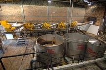 shreader and processing tanks at hacienda la capilla