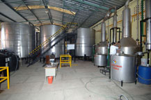 tequila is fermented in stainless steel tanks