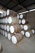 tequila is stored in oak barrels for aging