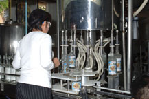 bottling tequila at la cofradia