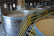 blue agave juice is fermented in stainless steel tanks