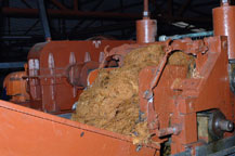 processing the crushed agave hearts at la cofradia