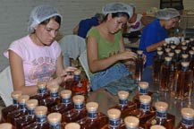 workers package elegante extra a�ejo at tequila partida - amatitan, jalisco