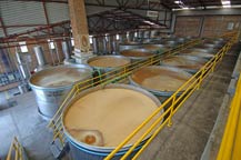 agave must (mosto) is fermented in stainless steel tanks at la cofradia in tequila