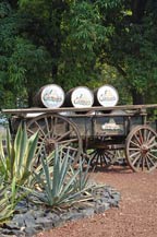 courtyard at la cofradia located in tequila, jalisco, mexico