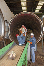 workers load agave pias into an autoclave at the sangre azteca tequila factory