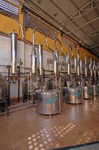  stainless steel alambiques at casa herradura - san jose del refugio in amatitan, jalisco