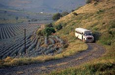 Spirit of Jalisco Tequila Distillery Tours