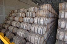barrel aging room - tequila centinela - arandas