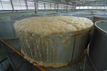 stainless steel fermentation tanks - tequila centinela - arandas, jalisco