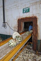 agave hearts loaded into adobe oven at tequila quiote - atotonilco el alto, jalisco