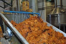 crushed agave is processed at tequila quiote - atotonilco el alto, jalisco