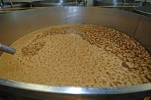 agave mosto in stainless steel fermentation tanks at tequila quiote