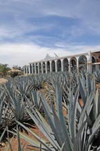 tres mujeres tequila distillery is located in amatitan, jalisco - 2010