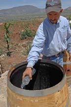 A French white oak barrel, is charred at Tres Mujeres Tequila